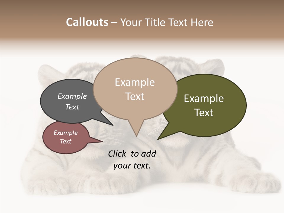 Whisker Young Big PowerPoint Template