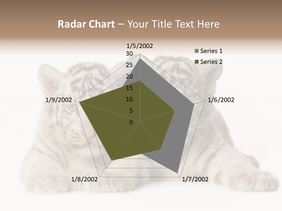 Whisker Young Big PowerPoint Template