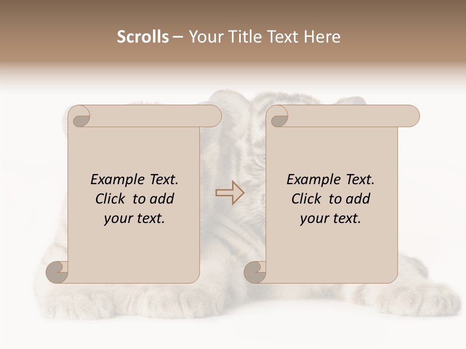 Whisker Young Big PowerPoint Template