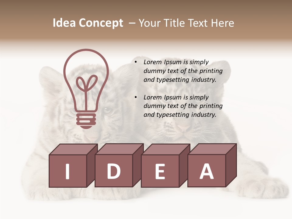 Whisker Young Big PowerPoint Template