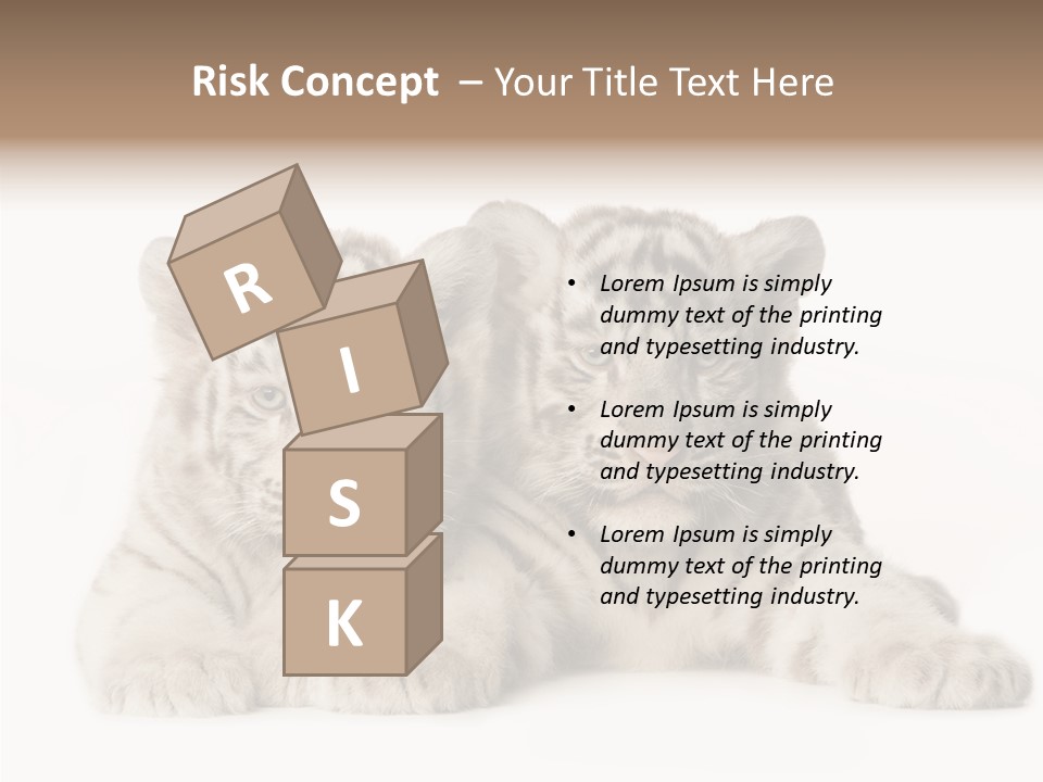 Whisker Young Big PowerPoint Template