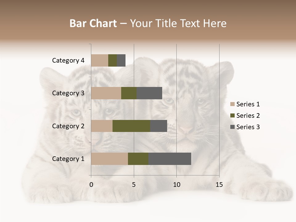 Whisker Young Big PowerPoint Template
