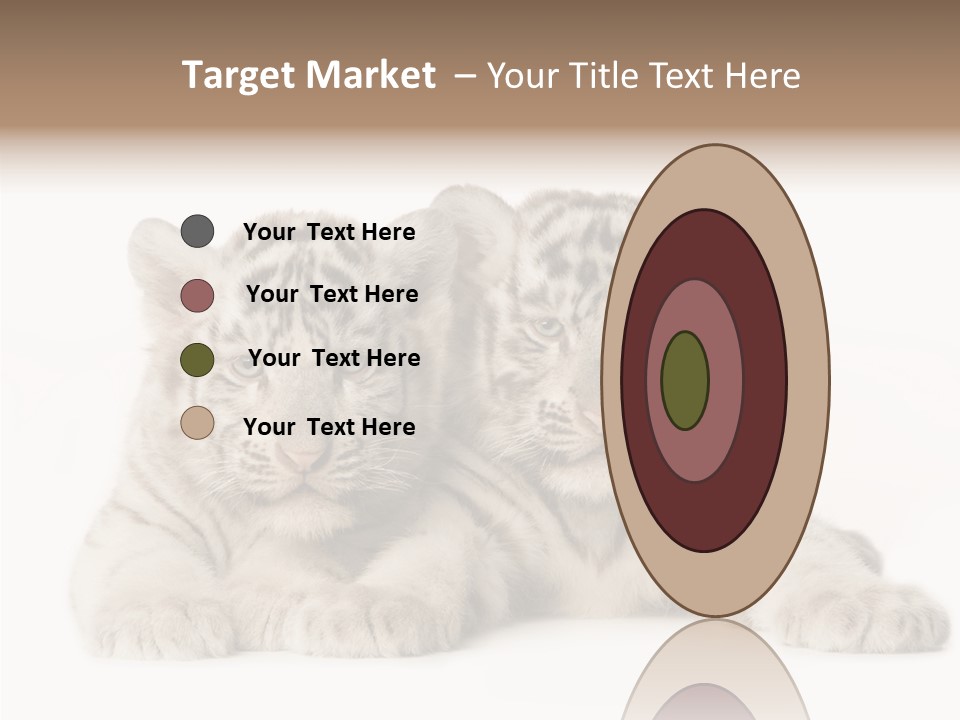 Whisker Young Big PowerPoint Template