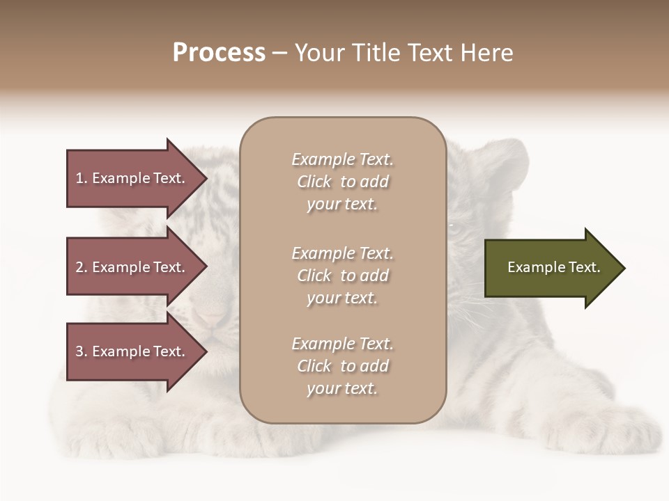 Whisker Young Big PowerPoint Template