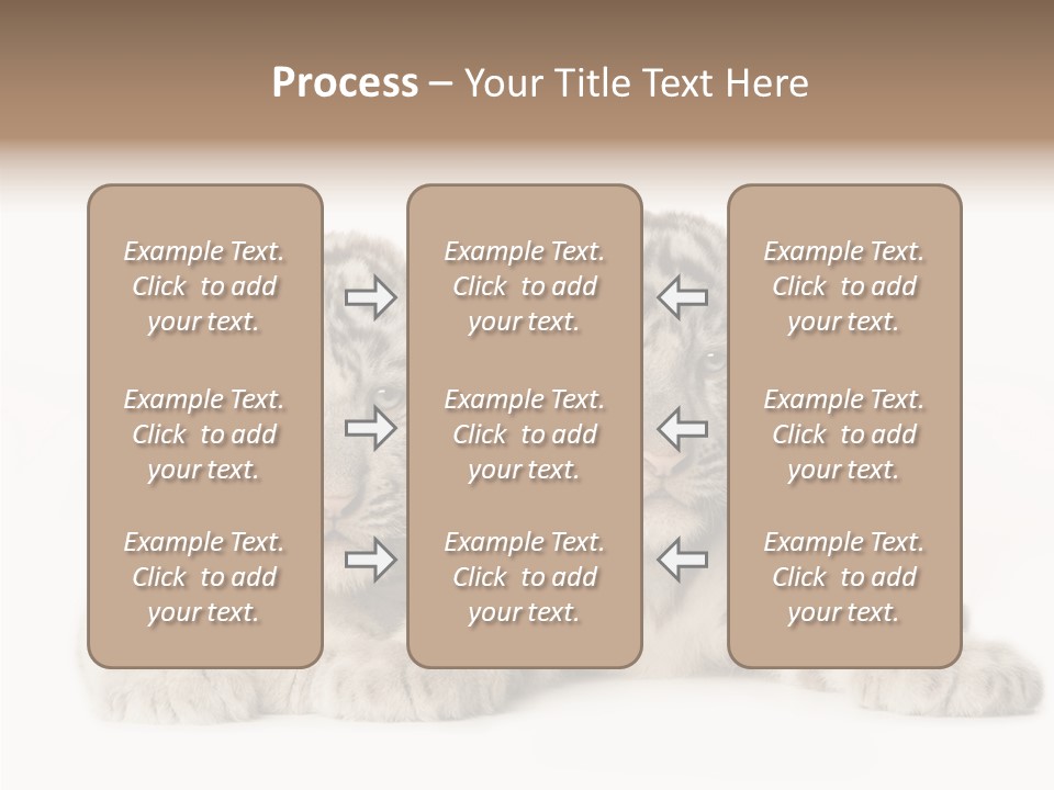 Whisker Young Big PowerPoint Template