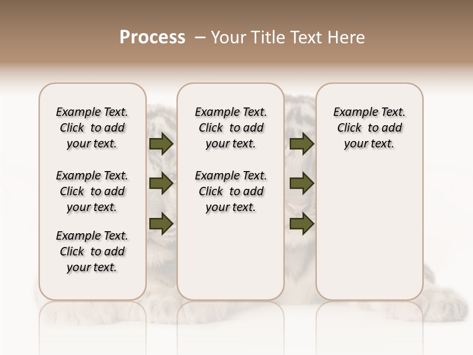 Whisker Young Big PowerPoint Template