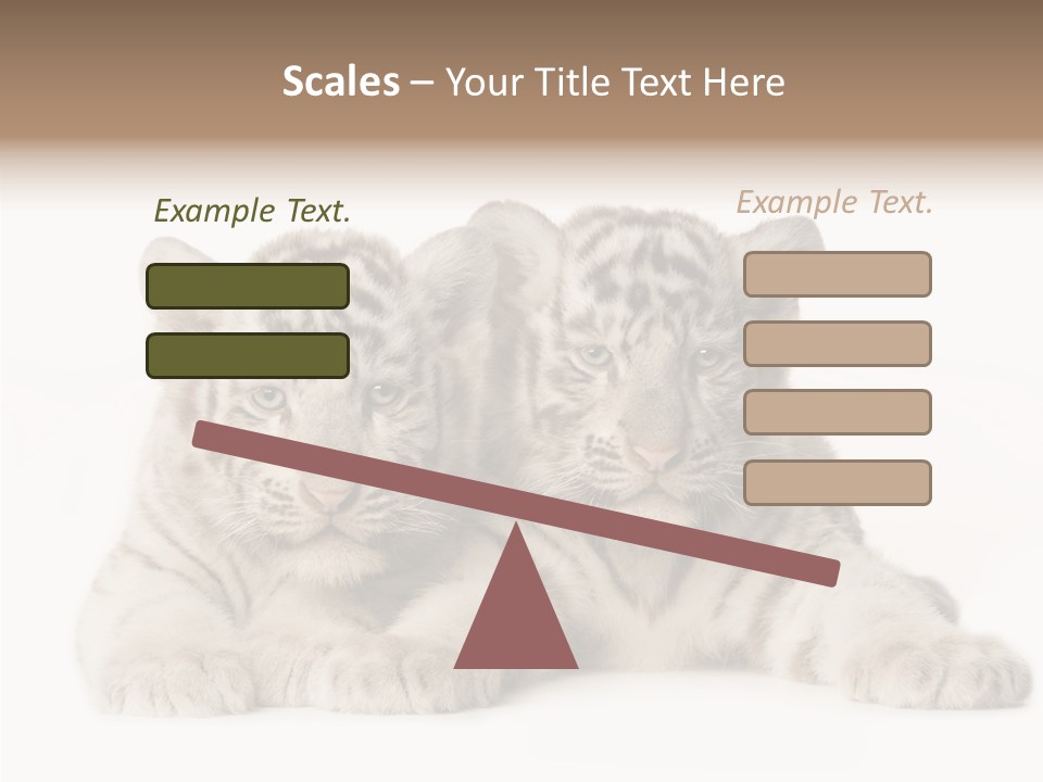 Whisker Young Big PowerPoint Template