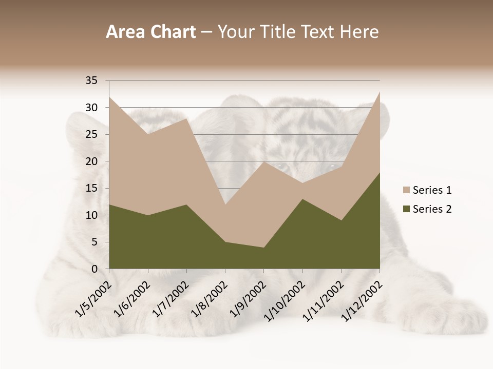 Whisker Young Big PowerPoint Template