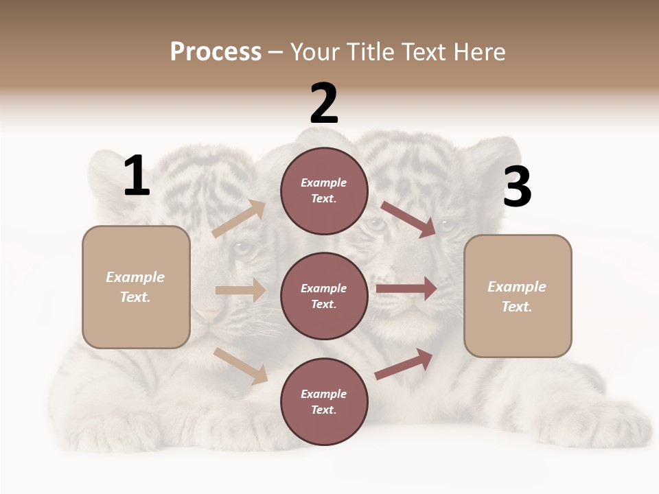 Whisker Young Big PowerPoint Template