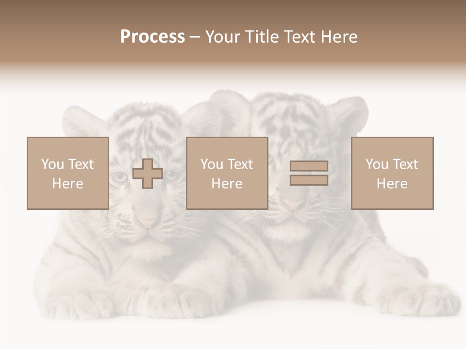 Whisker Young Big PowerPoint Template