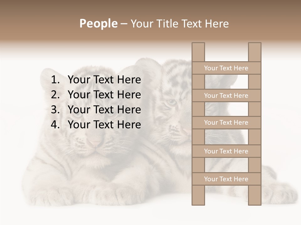 Whisker Young Big PowerPoint Template