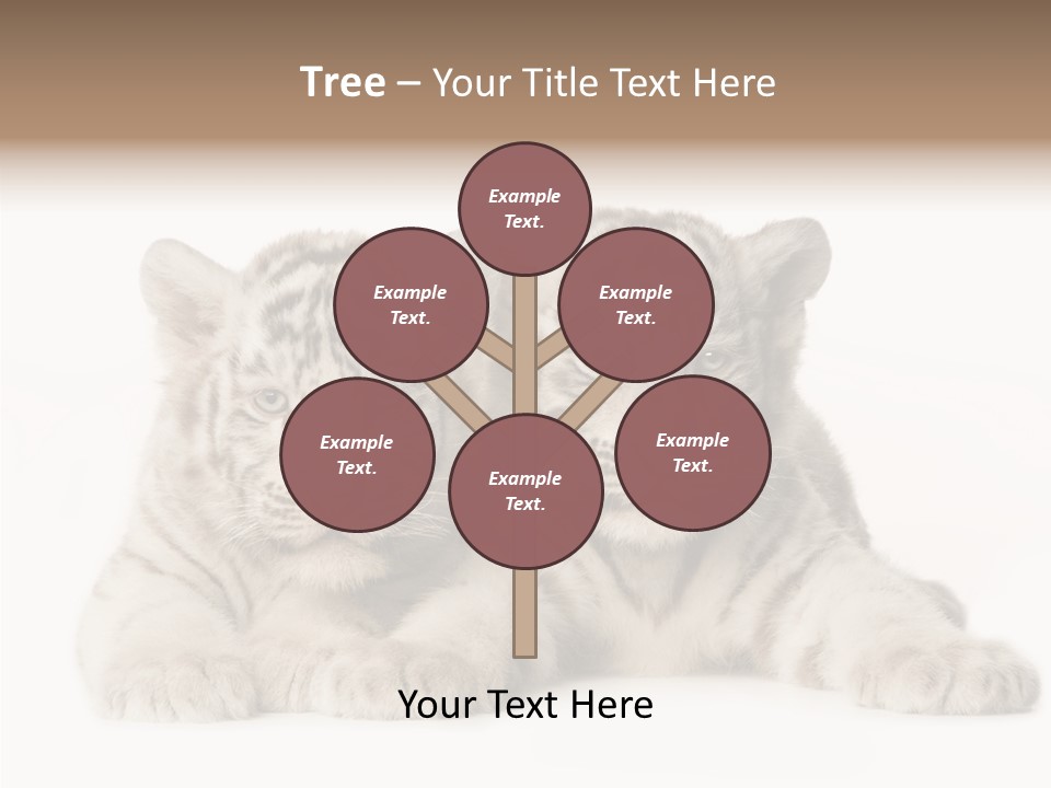 Whisker Young Big PowerPoint Template