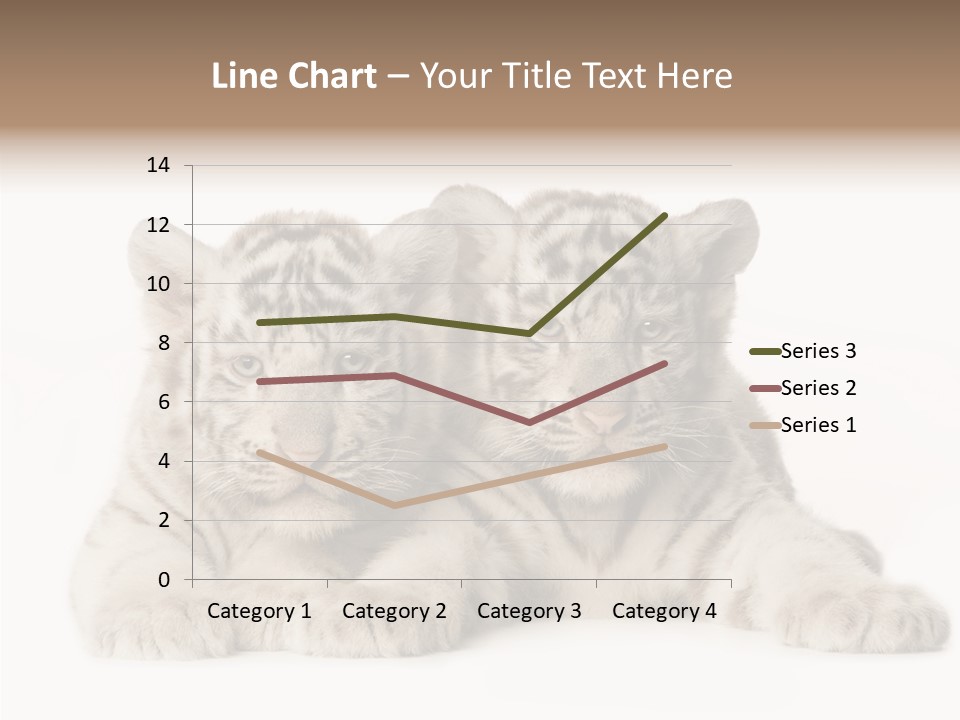 Whisker Young Big PowerPoint Template