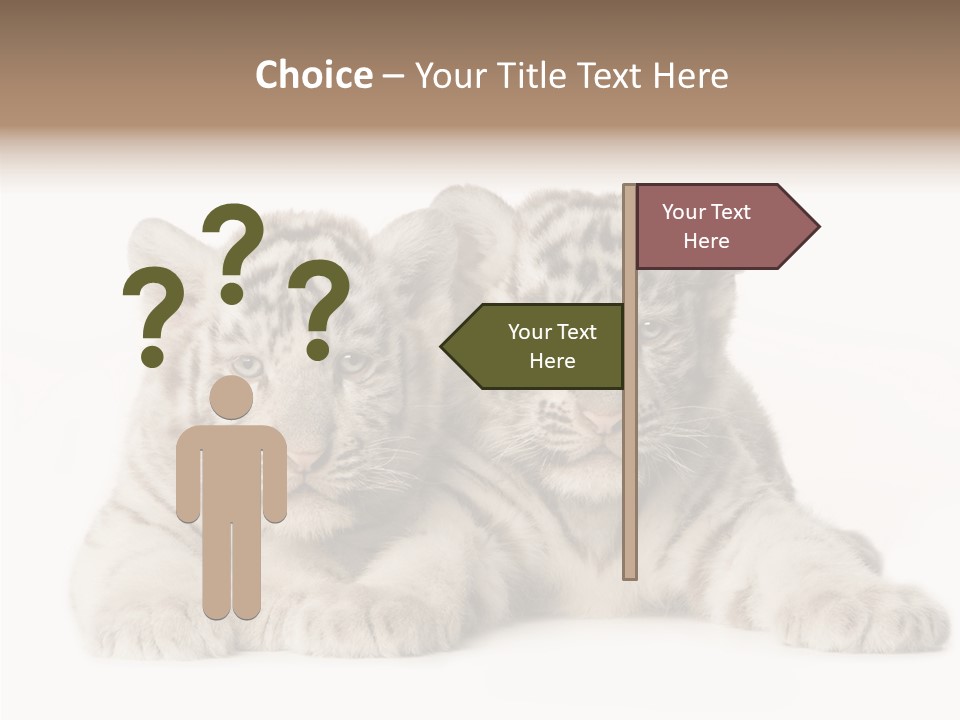 Whisker Young Big PowerPoint Template