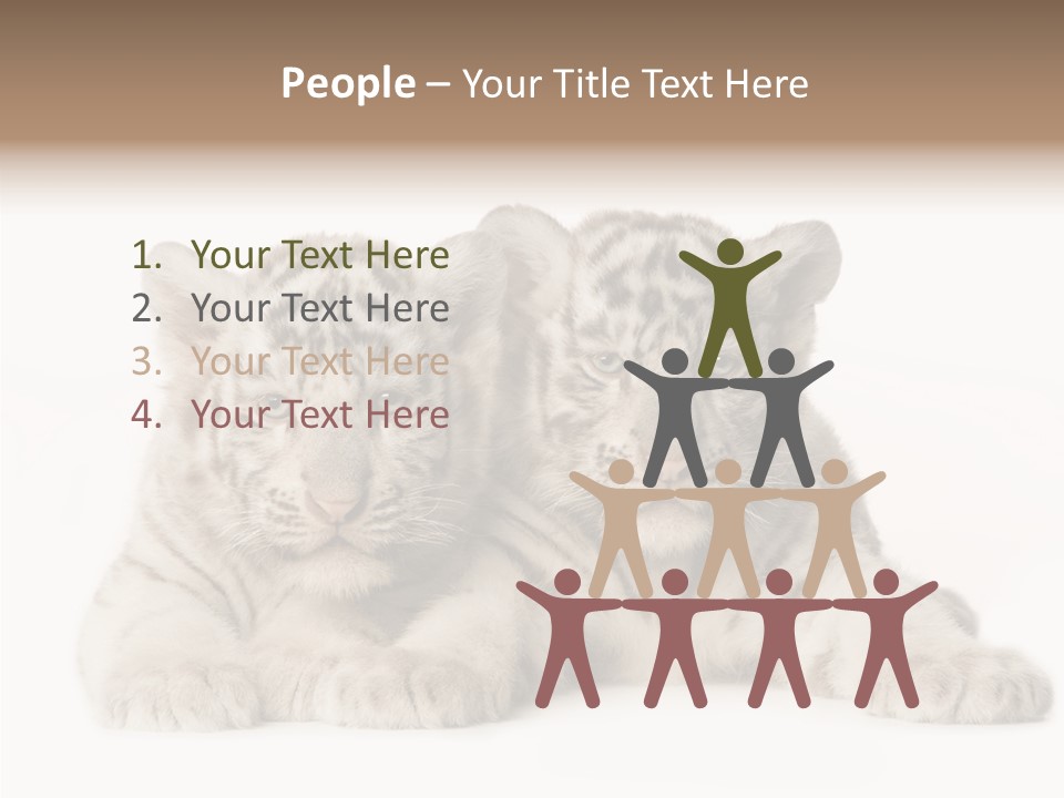 Whisker Young Big PowerPoint Template