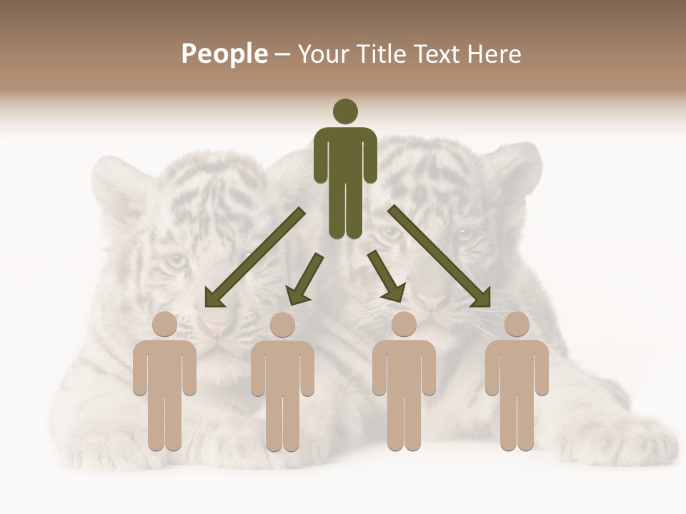 Whisker Young Big PowerPoint Template