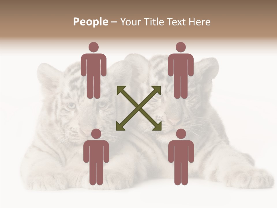 Whisker Young Big PowerPoint Template