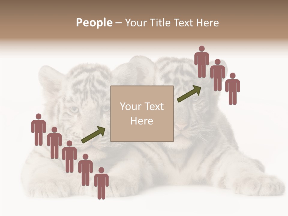 Whisker Young Big PowerPoint Template