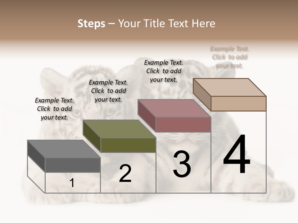 Whisker Young Big PowerPoint Template