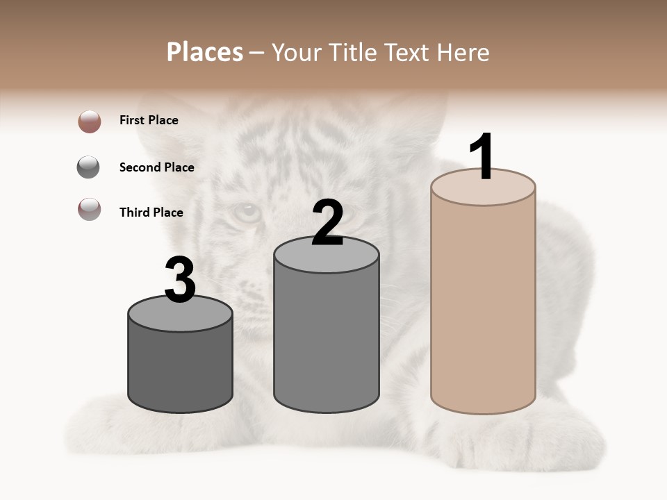 Tiger Wild Predator PowerPoint Template