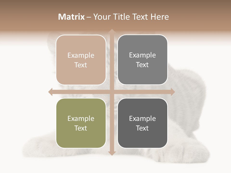 Tiger Wild Predator PowerPoint Template