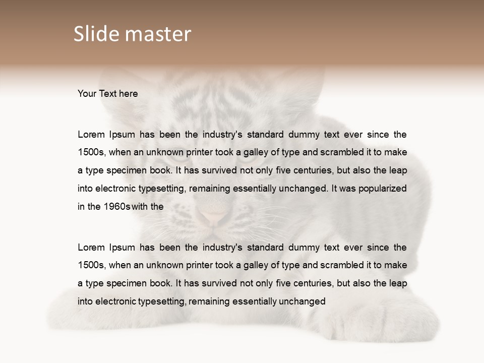 Tiger Wild Predator PowerPoint Template