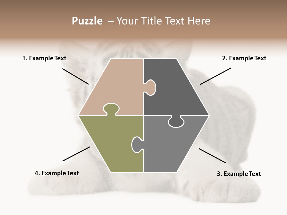 Tiger Wild Predator PowerPoint Template