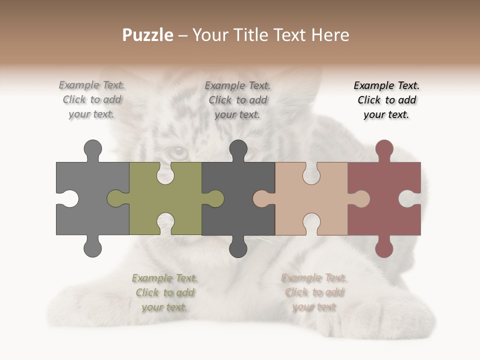 Tiger Wild Predator PowerPoint Template