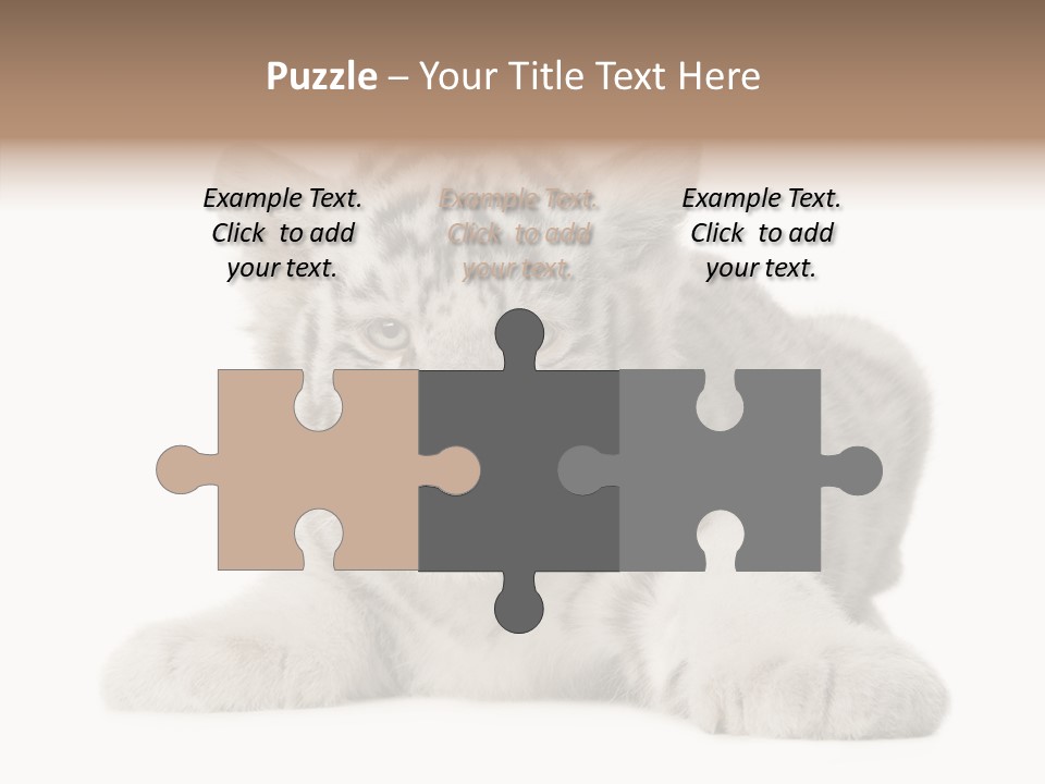 Tiger Wild Predator PowerPoint Template