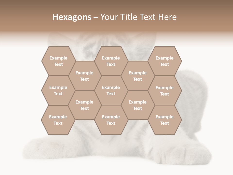 Tiger Wild Predator PowerPoint Template