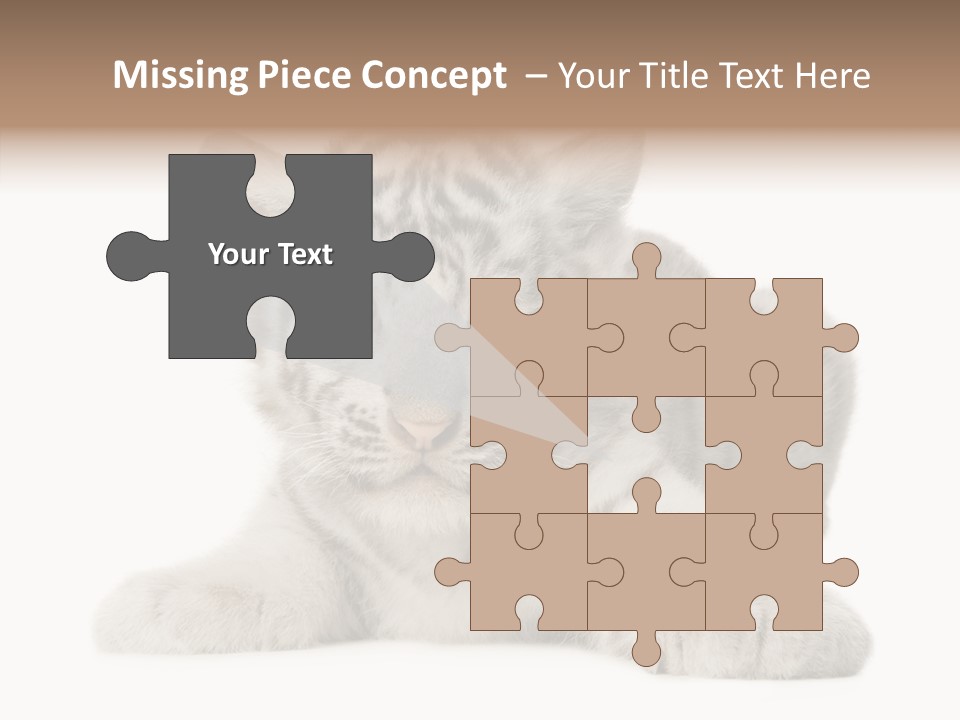 Tiger Wild Predator PowerPoint Template