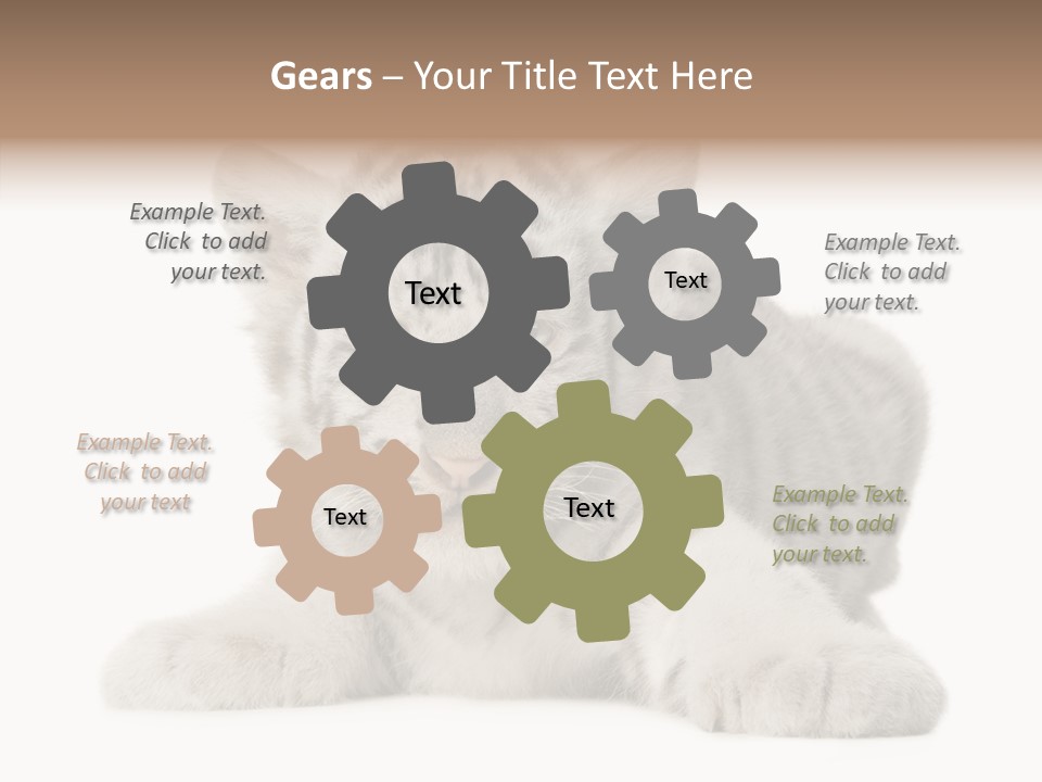 Tiger Wild Predator PowerPoint Template