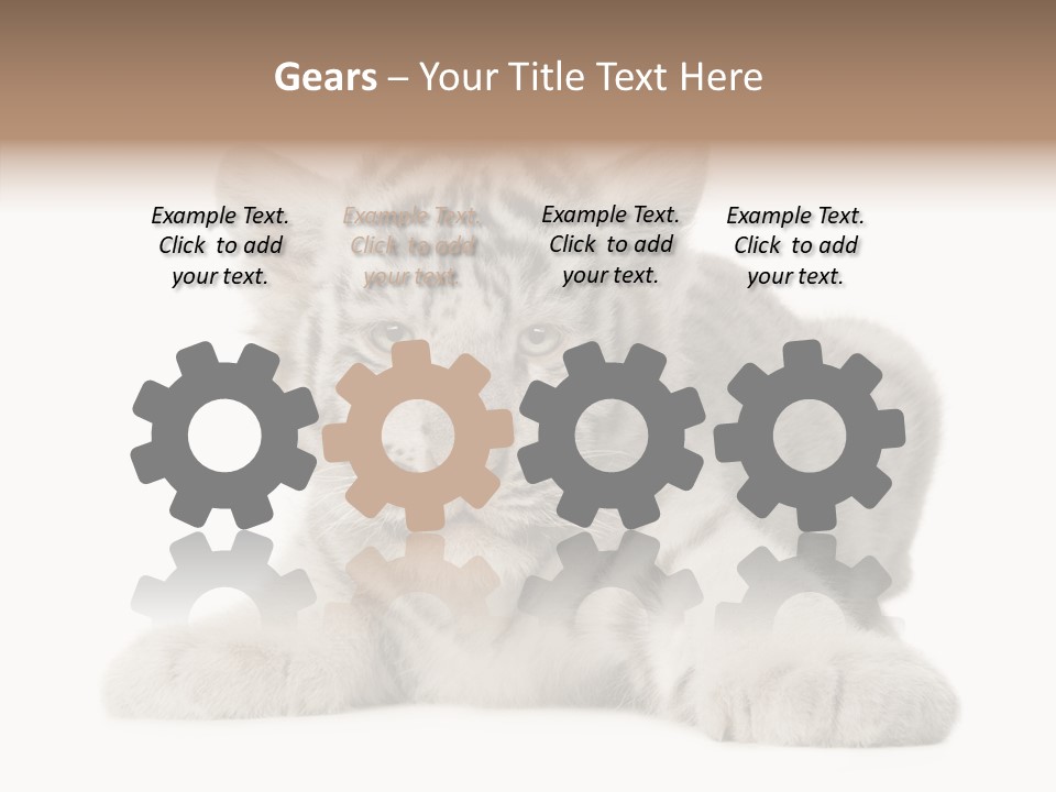 Tiger Wild Predator PowerPoint Template