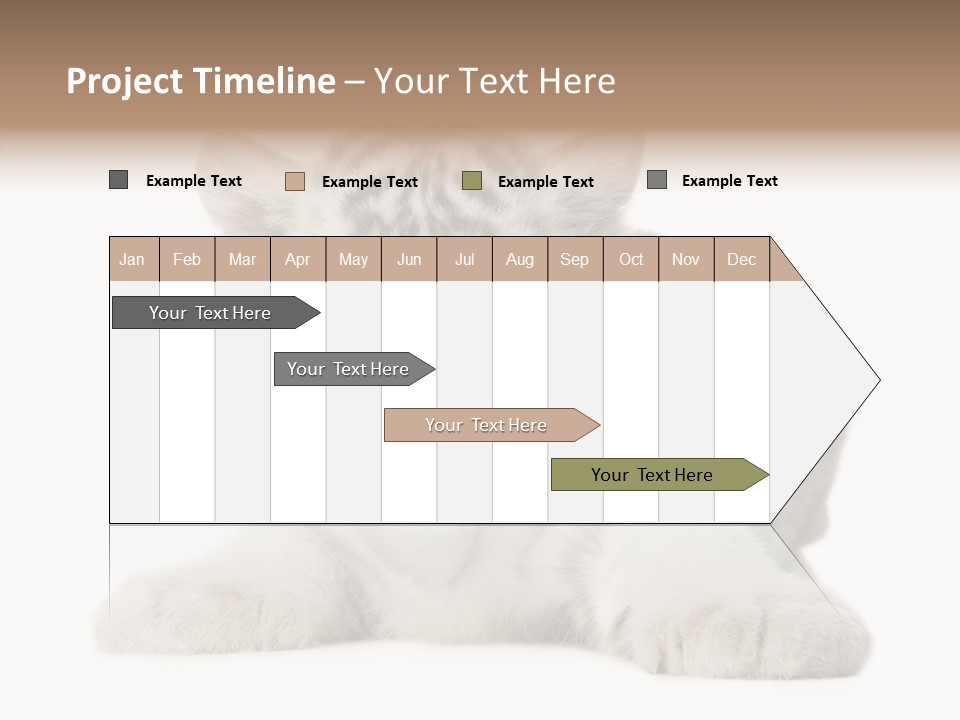 Tiger Wild Predator PowerPoint Template