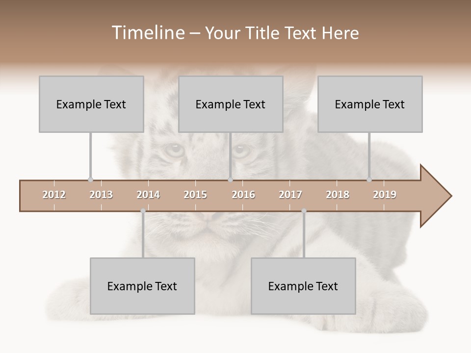 Tiger Wild Predator PowerPoint Template