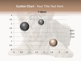 Tiger Wild Predator PowerPoint Template