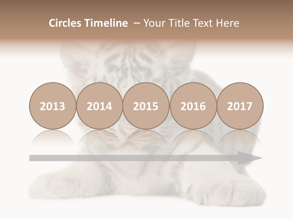 Tiger Wild Predator PowerPoint Template
