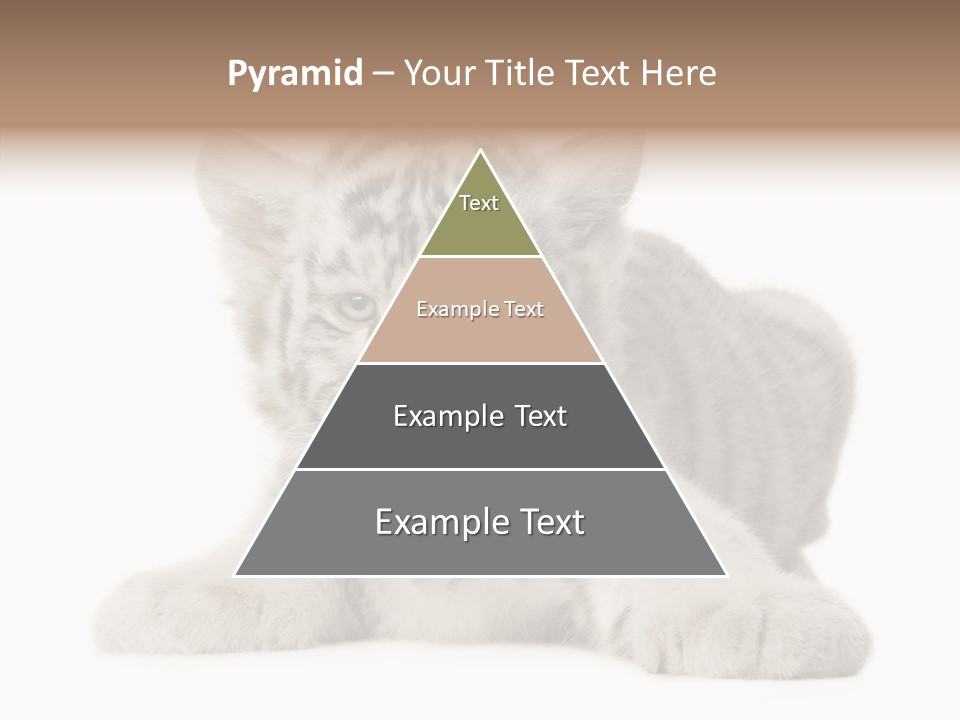 Tiger Wild Predator PowerPoint Template