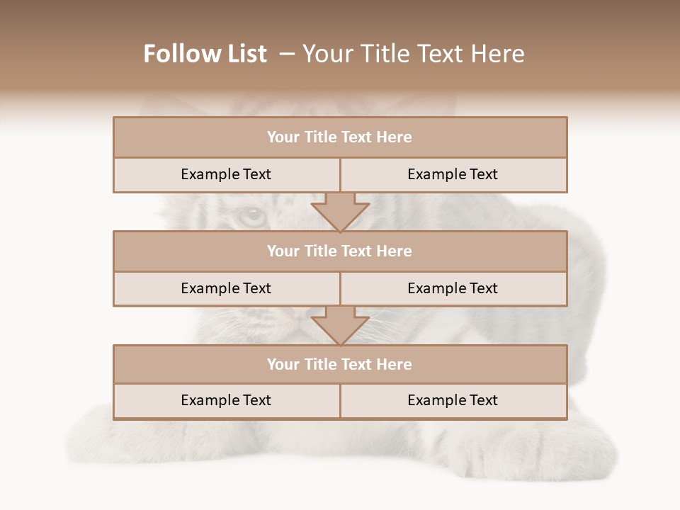 Tiger Wild Predator PowerPoint Template