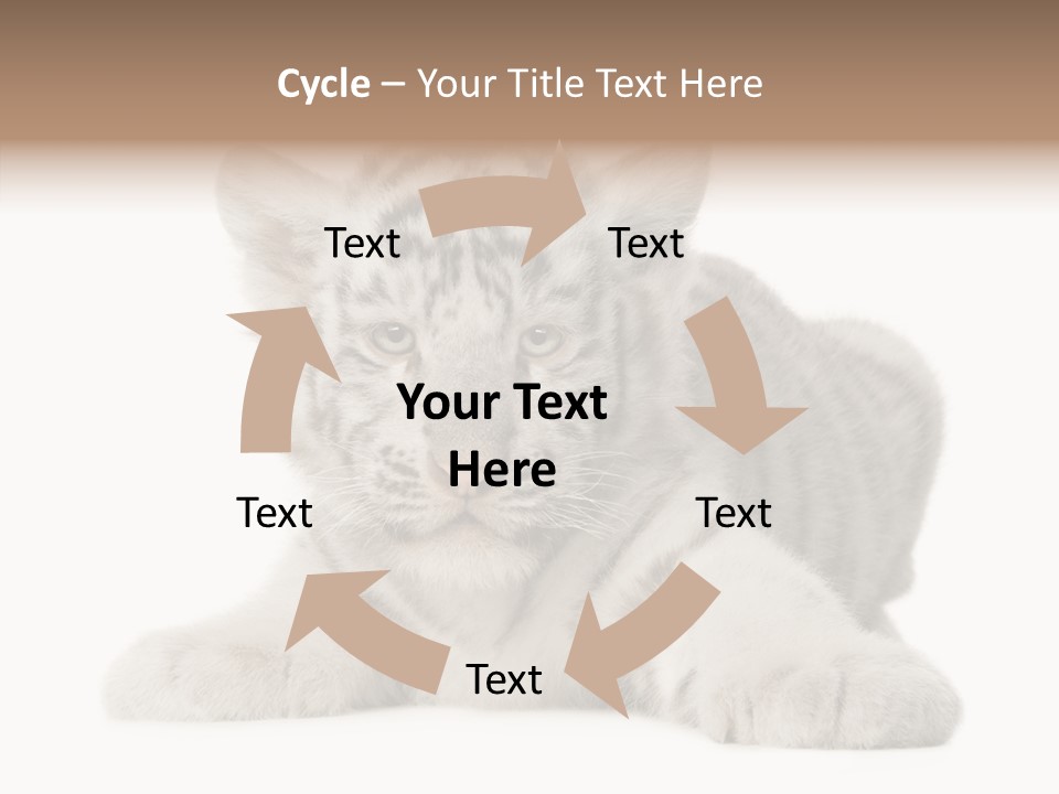 Tiger Wild Predator PowerPoint Template