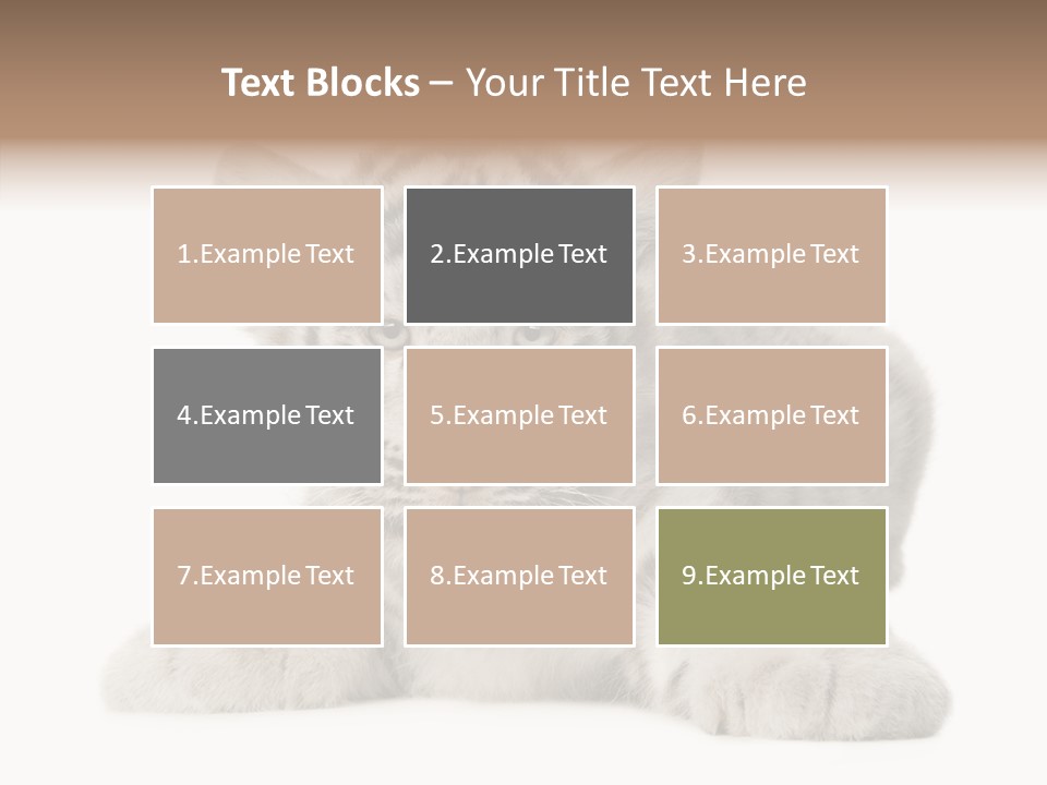 Tiger Wild Predator PowerPoint Template