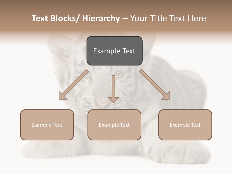 Tiger Wild Predator PowerPoint Template