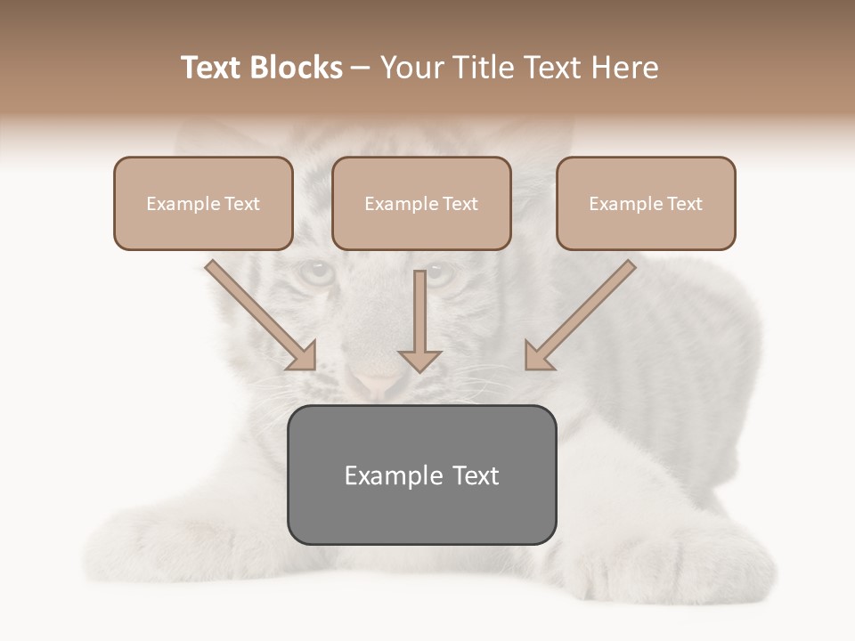 Tiger Wild Predator PowerPoint Template