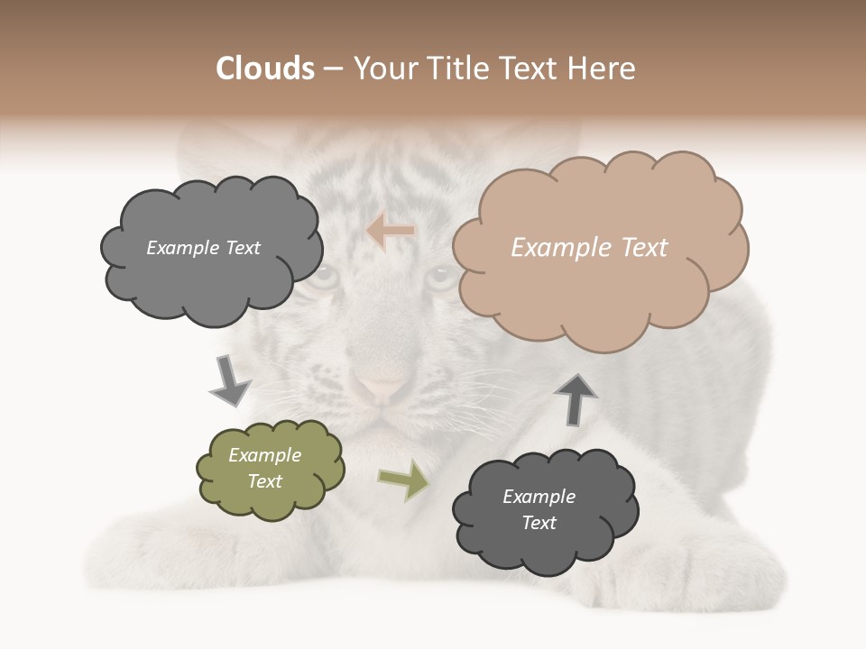 Tiger Wild Predator PowerPoint Template