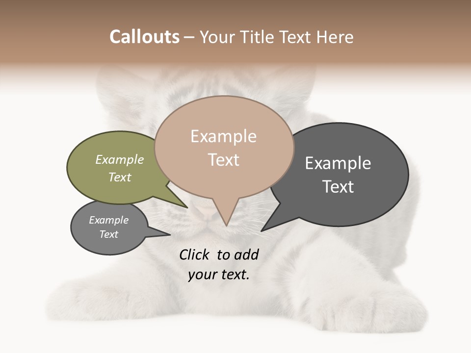 Tiger Wild Predator PowerPoint Template