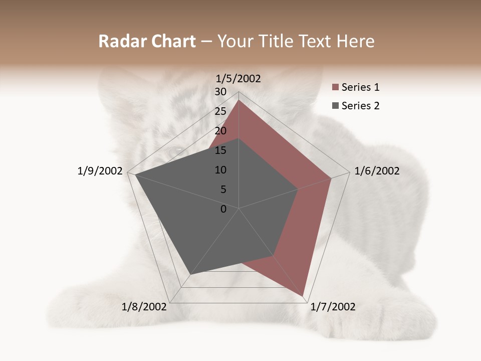 Tiger Wild Predator PowerPoint Template