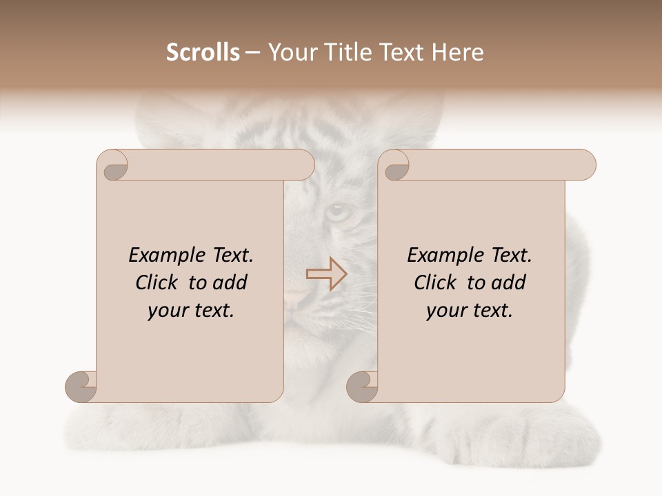 Tiger Wild Predator PowerPoint Template