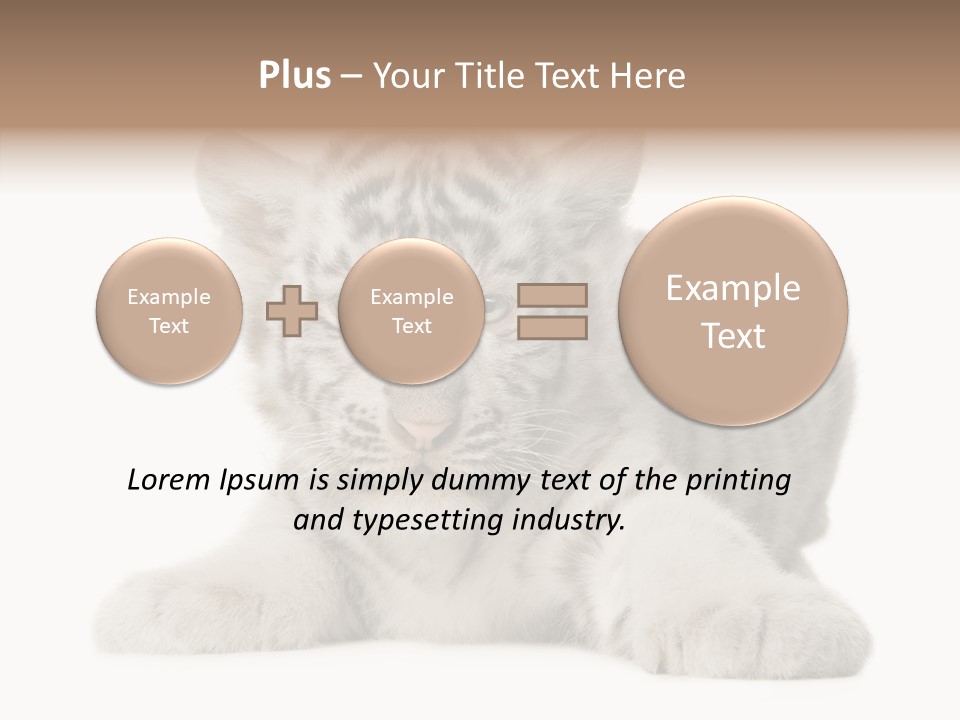 Tiger Wild Predator PowerPoint Template