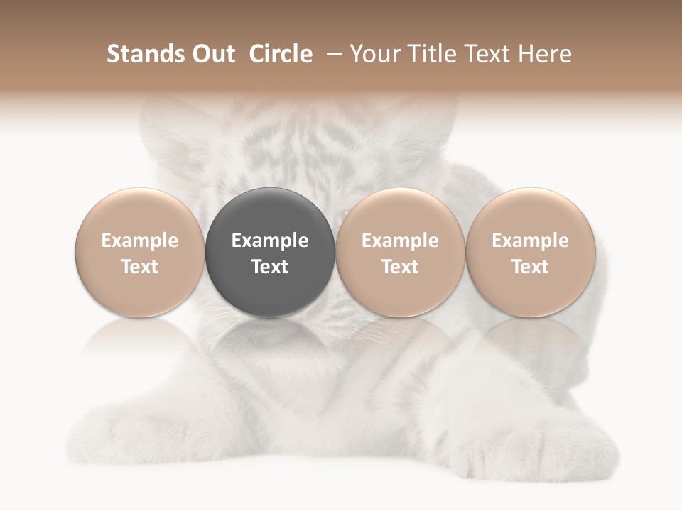 Tiger Wild Predator PowerPoint Template