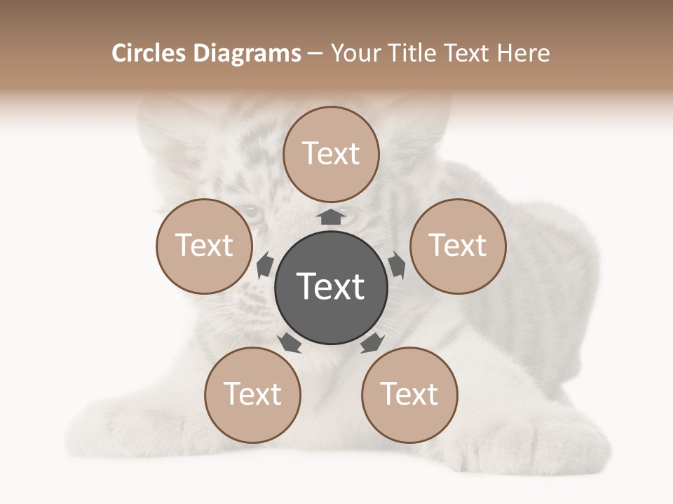 Tiger Wild Predator PowerPoint Template